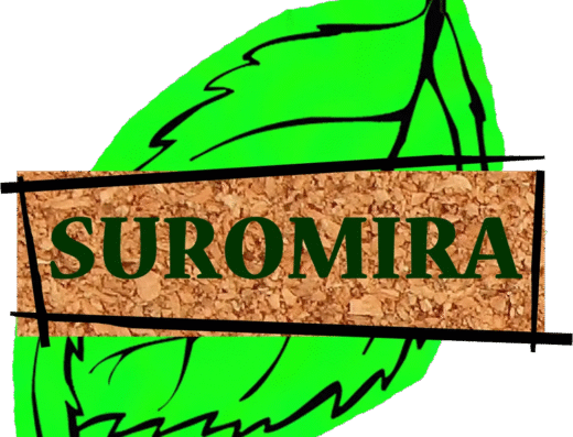 Joaquim Miralles Torner